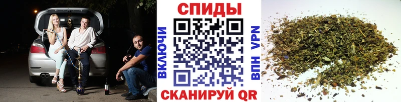 Купить где Кировград Бутират BDO