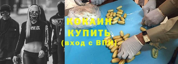 сатива Бронницы