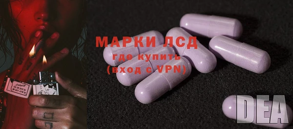сатива Бронницы
