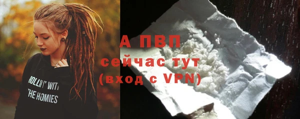 не бодяженный Бородино