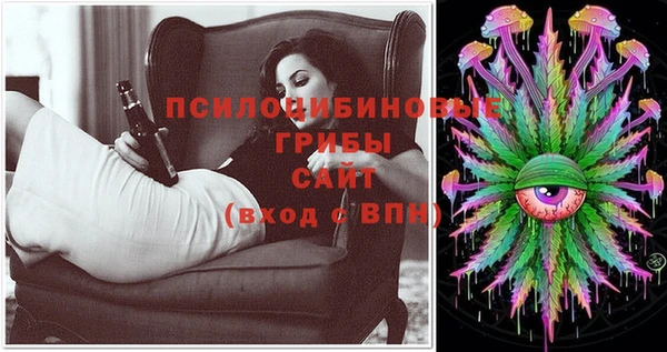 марки lsd Бугульма