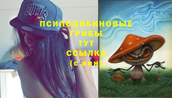 не бодяженный Бородино