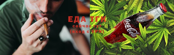 сатива Бронницы