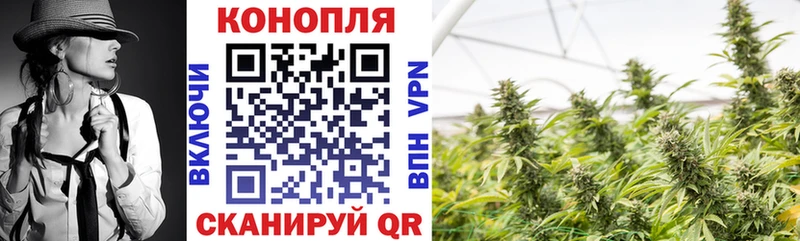 Бошки Шишки OG Kush  Купить  Кировград 